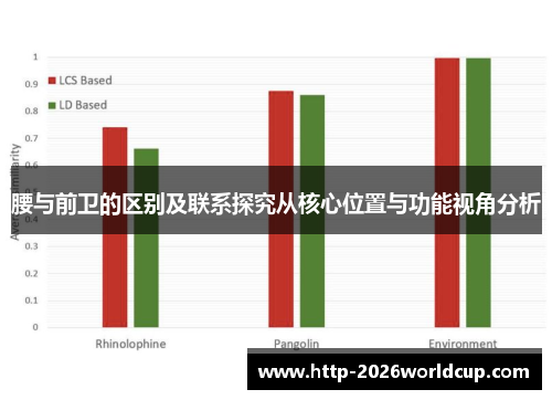 腰与前卫的区别及联系探究从核心位置与功能视角分析 腰与前卫的区别及联系探究从核心位置与功能视角分析